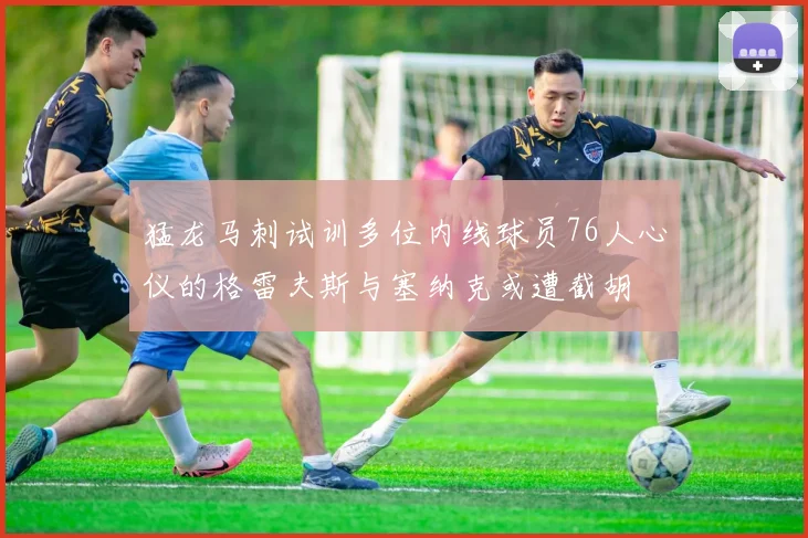 猛龙马刺试训多位内线球员76人心仪的格雷夫斯与塞纳克或遭截胡
