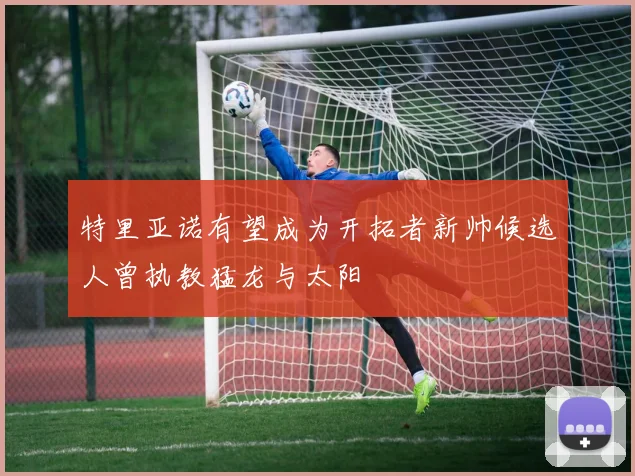 特里亚诺有望成为开拓者新帅候选人曾执教猛龙与太阳