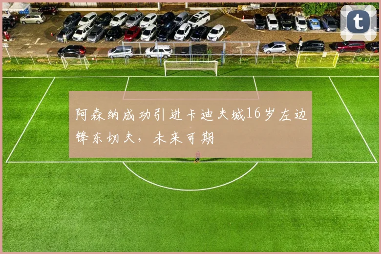 阿森纳成功引进卡迪夫城16岁左边锋东切夫，未来可期